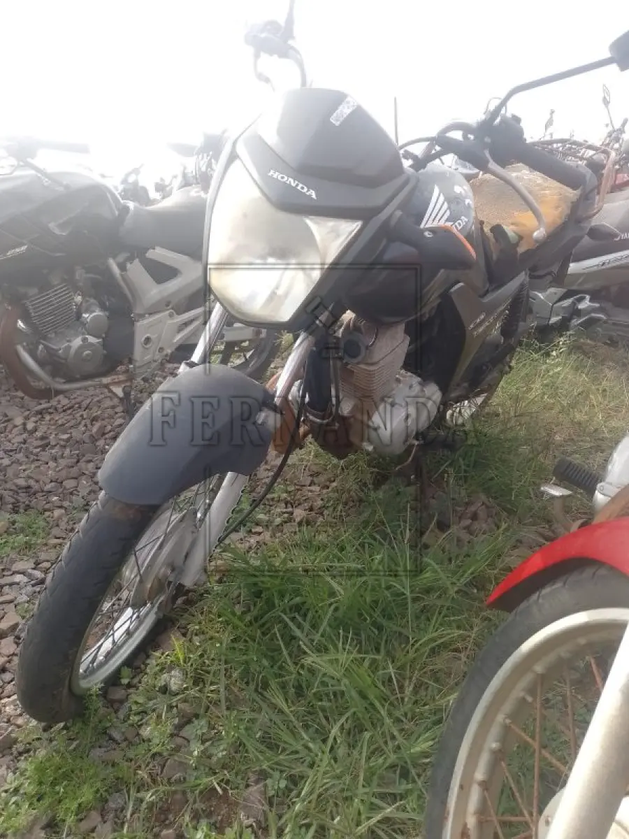 LOTE 0309