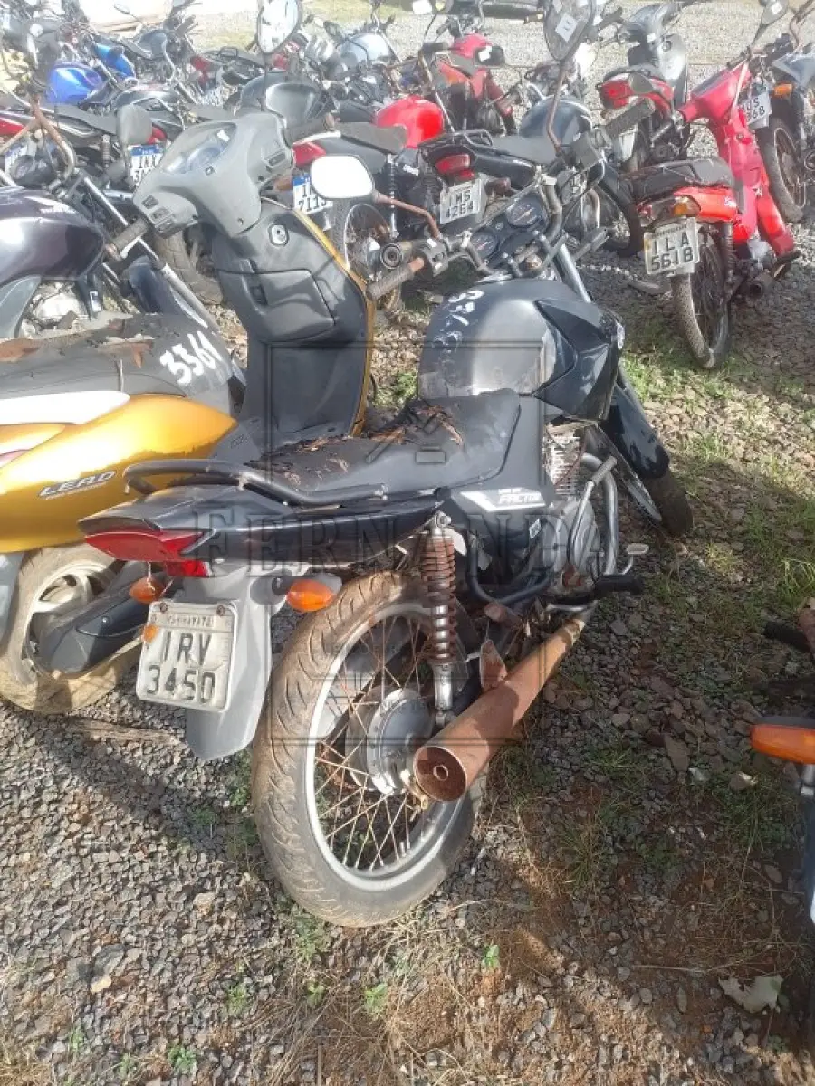 LOTE 0307