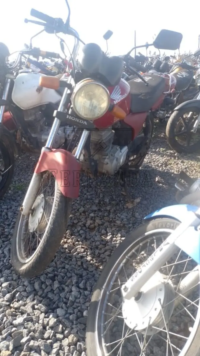 LOTE 0352