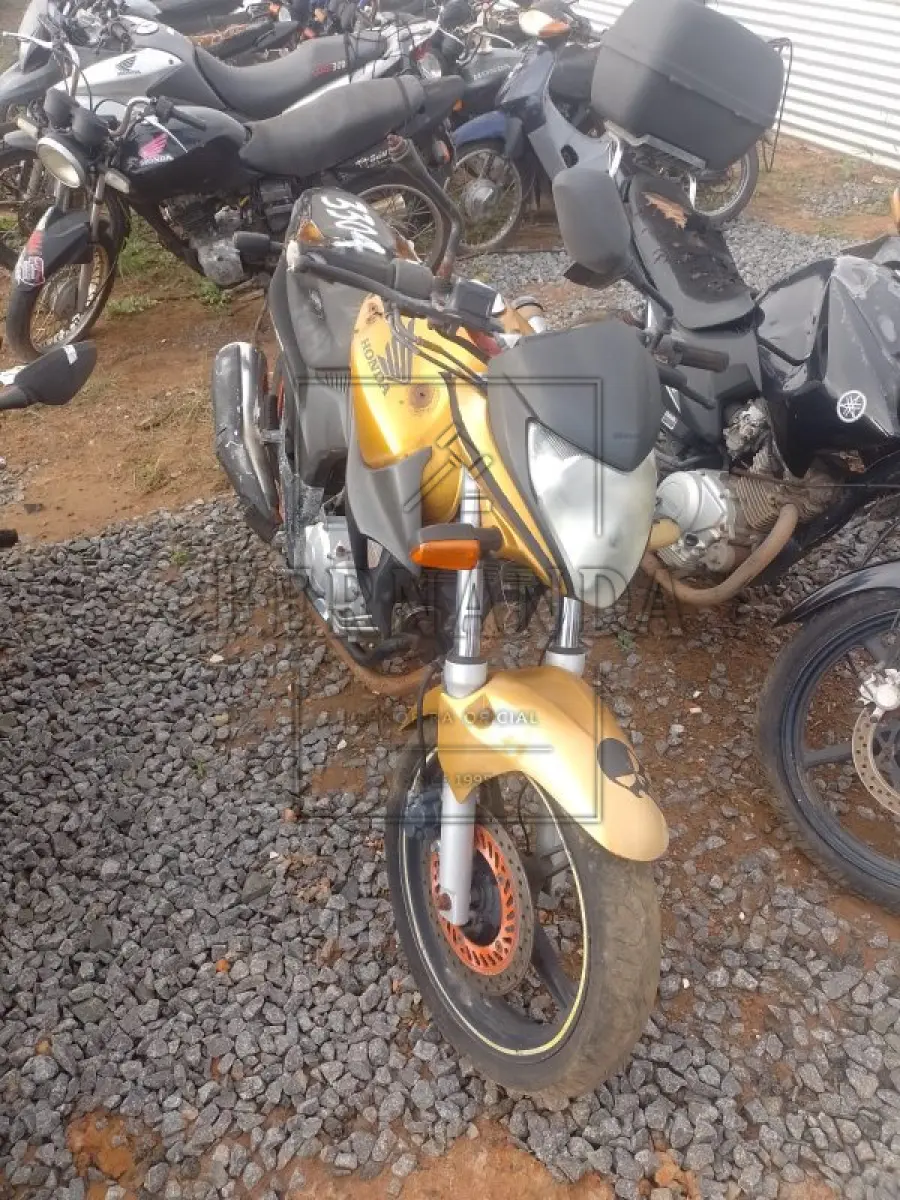 LOTE 0300