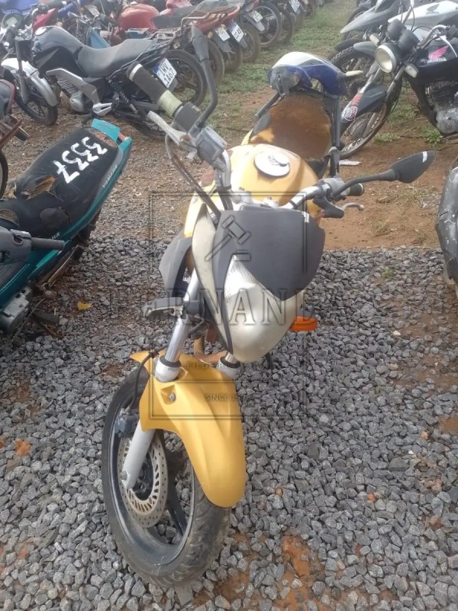 LOTE 0301
