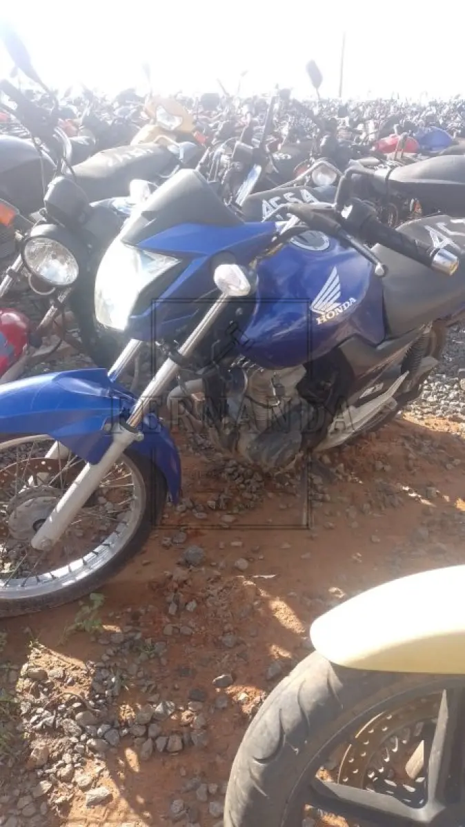 LOTE 0339