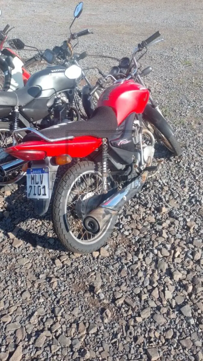 LOTE 0368