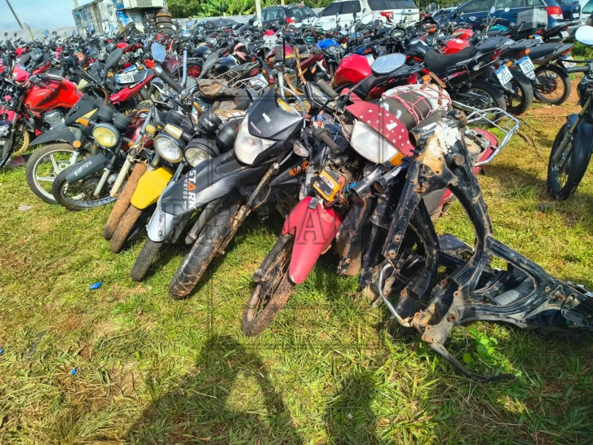 LOTE 0002