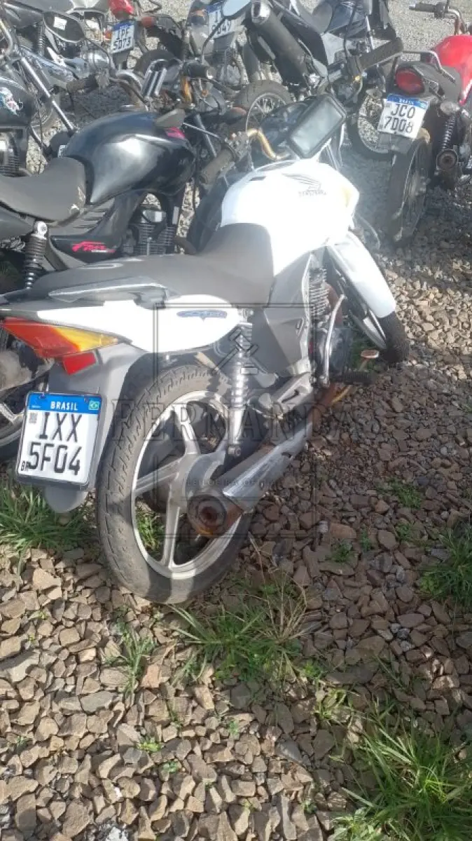 LOTE 0329