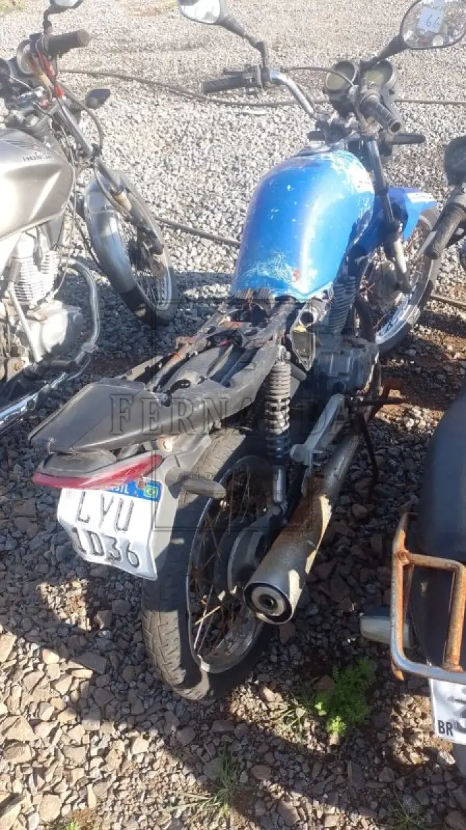 LOTE 0362