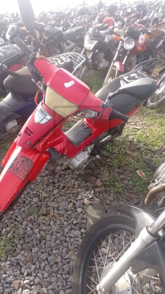 LOTE 0334