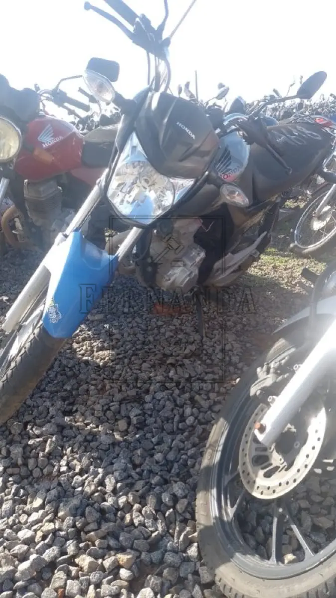 LOTE 0351
