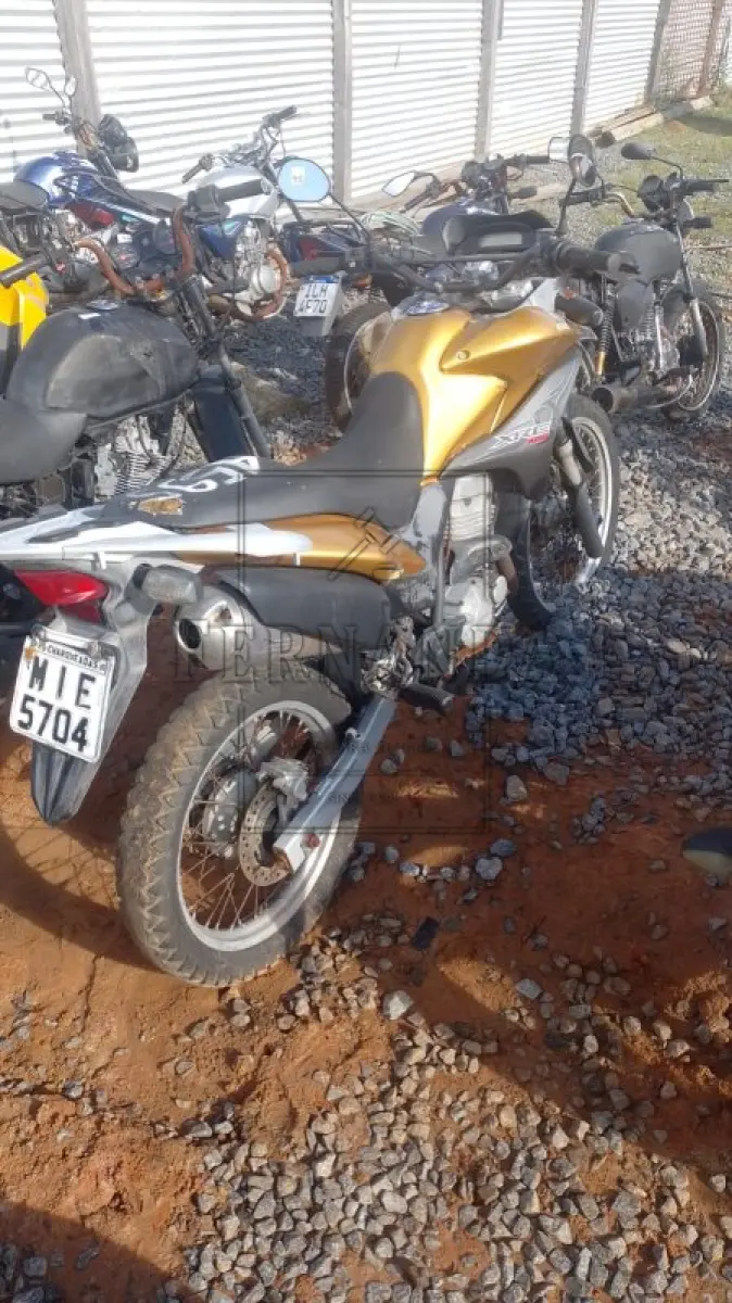 LOTE 0341