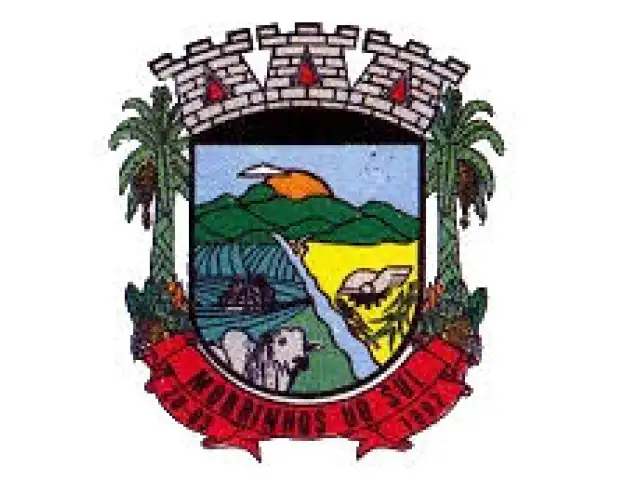 Leilão de Bens Inservíveis da Prefeitura Municipal de Morrinhos do Sul