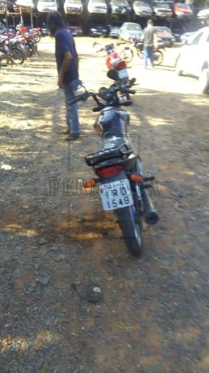 LOTE 2113