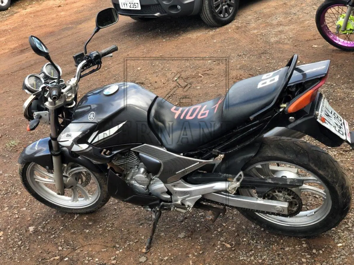 LOTE 4106