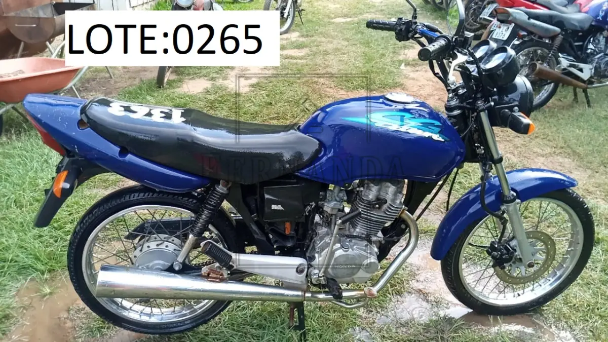 LOTE 0265