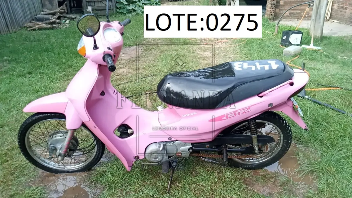 LOTE 0275