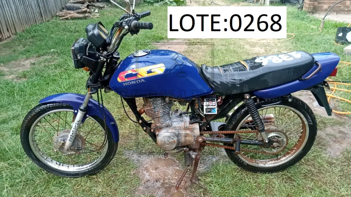 LOTE 0268
