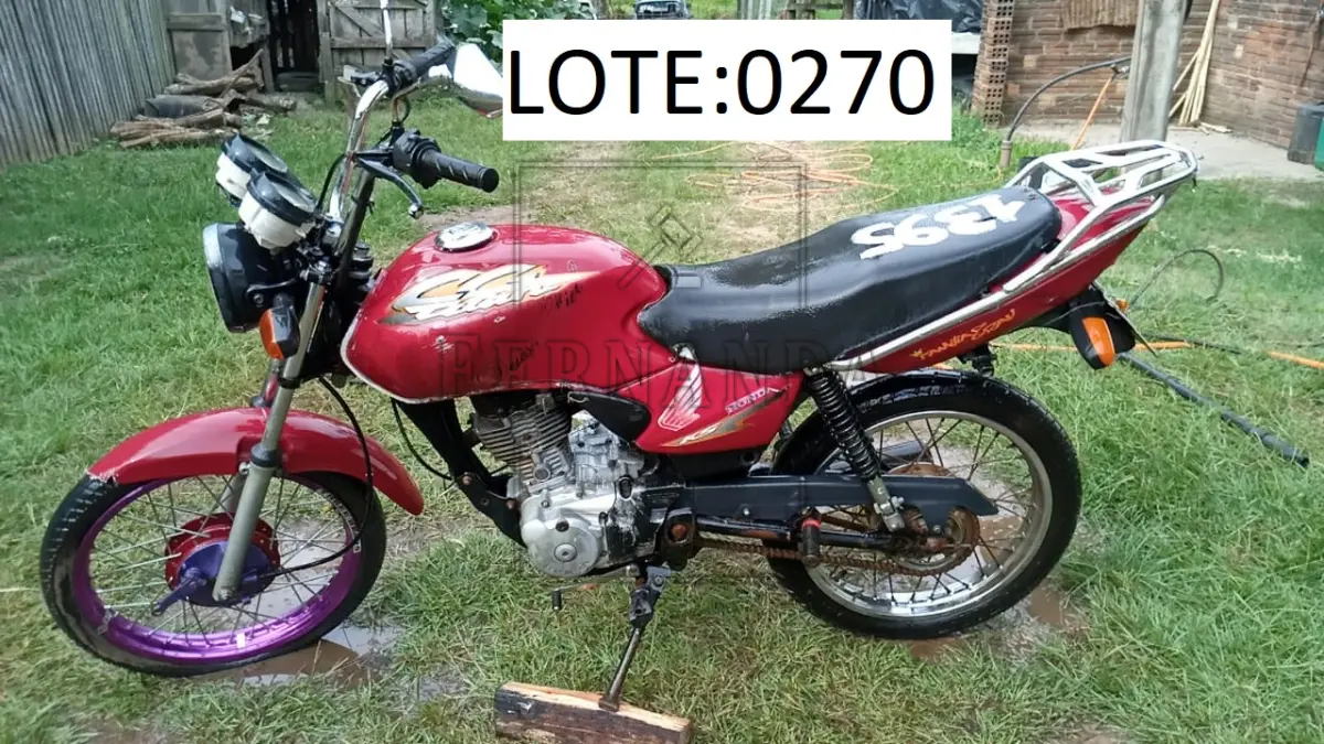 LOTE 0270