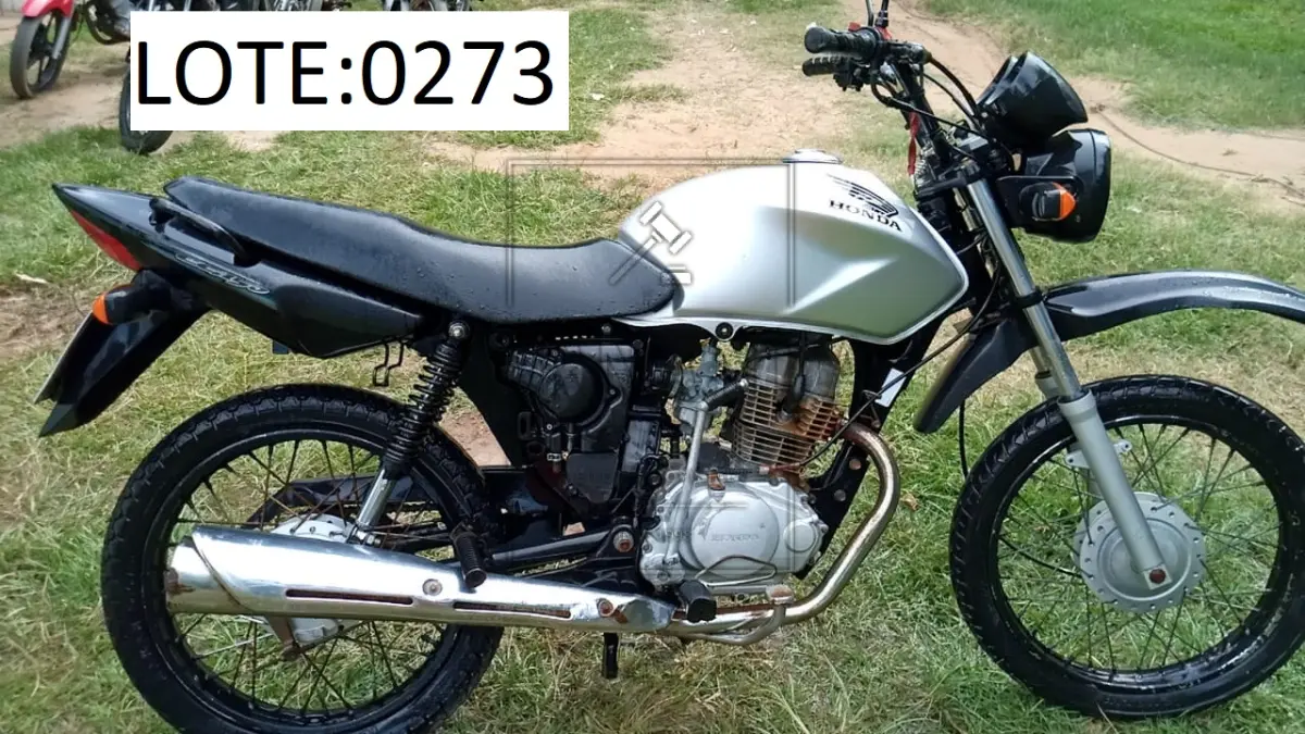 LOTE 0273