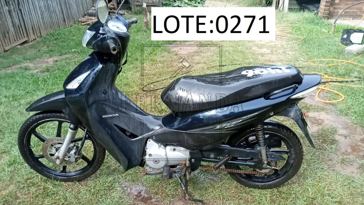 LOTE 0271