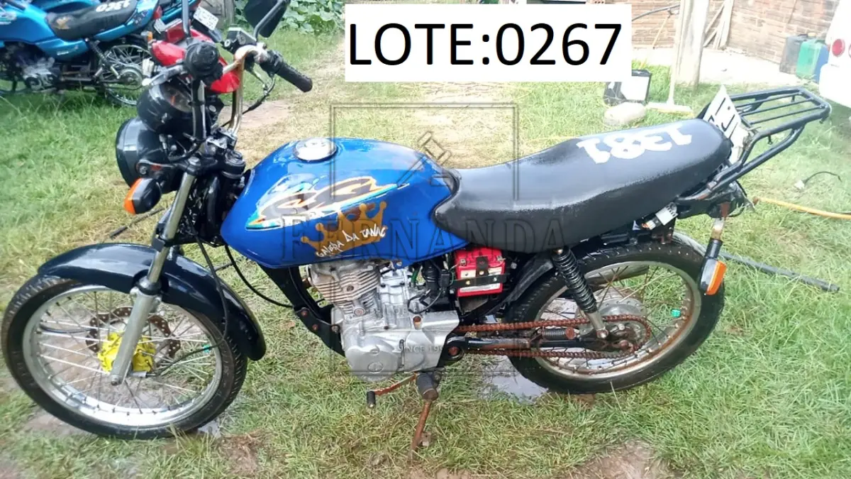 LOTE 0267