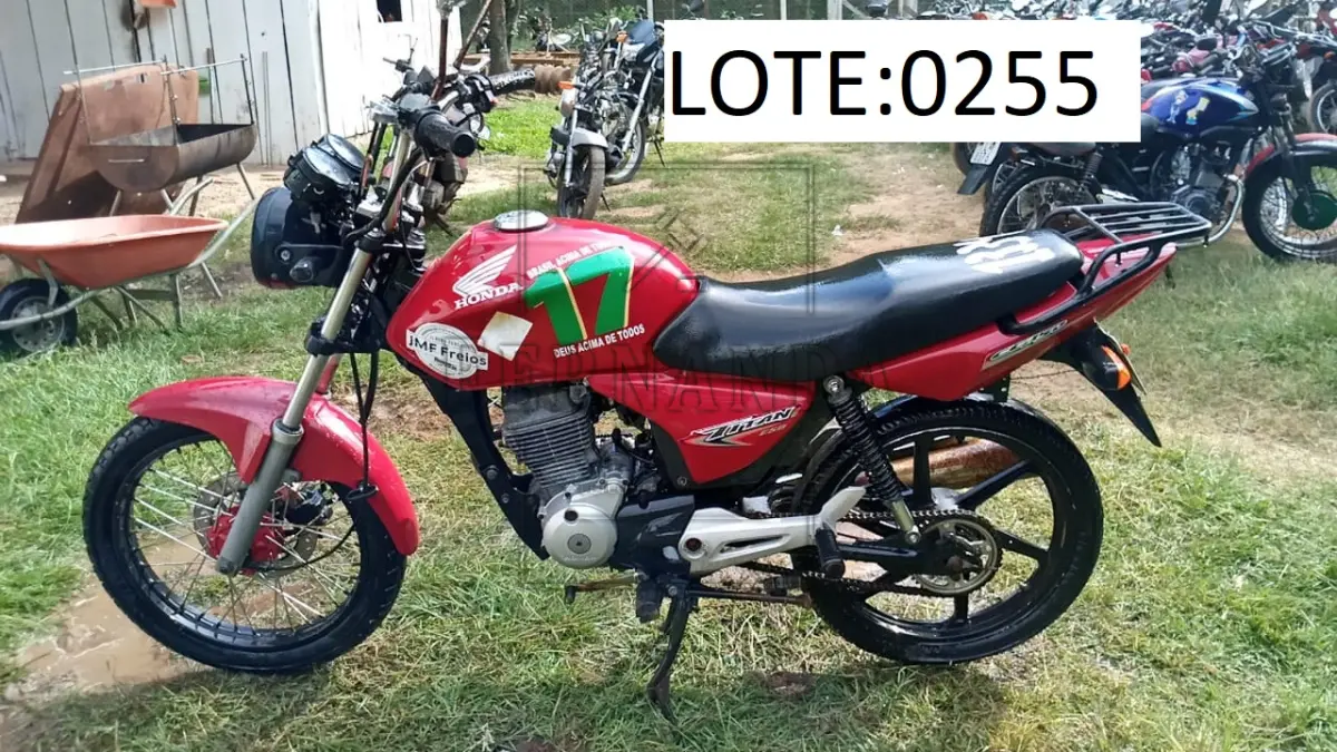 LOTE 0255