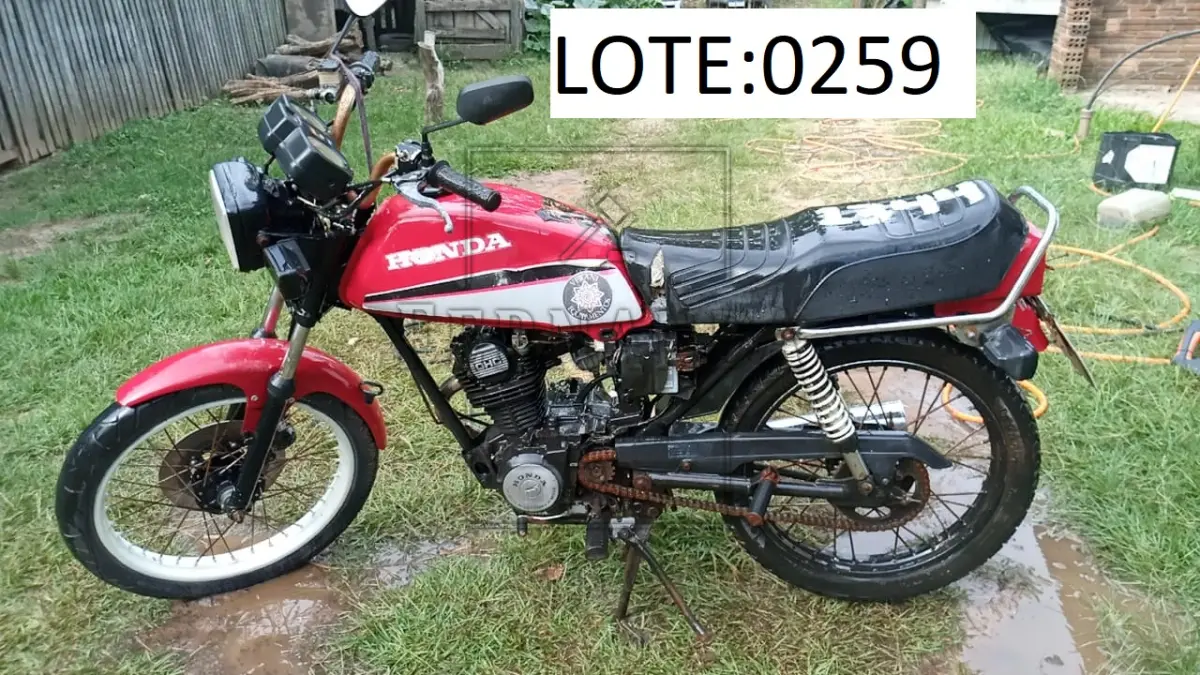 LOTE 0259
