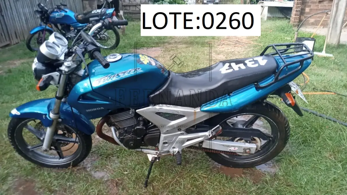 LOTE 0260