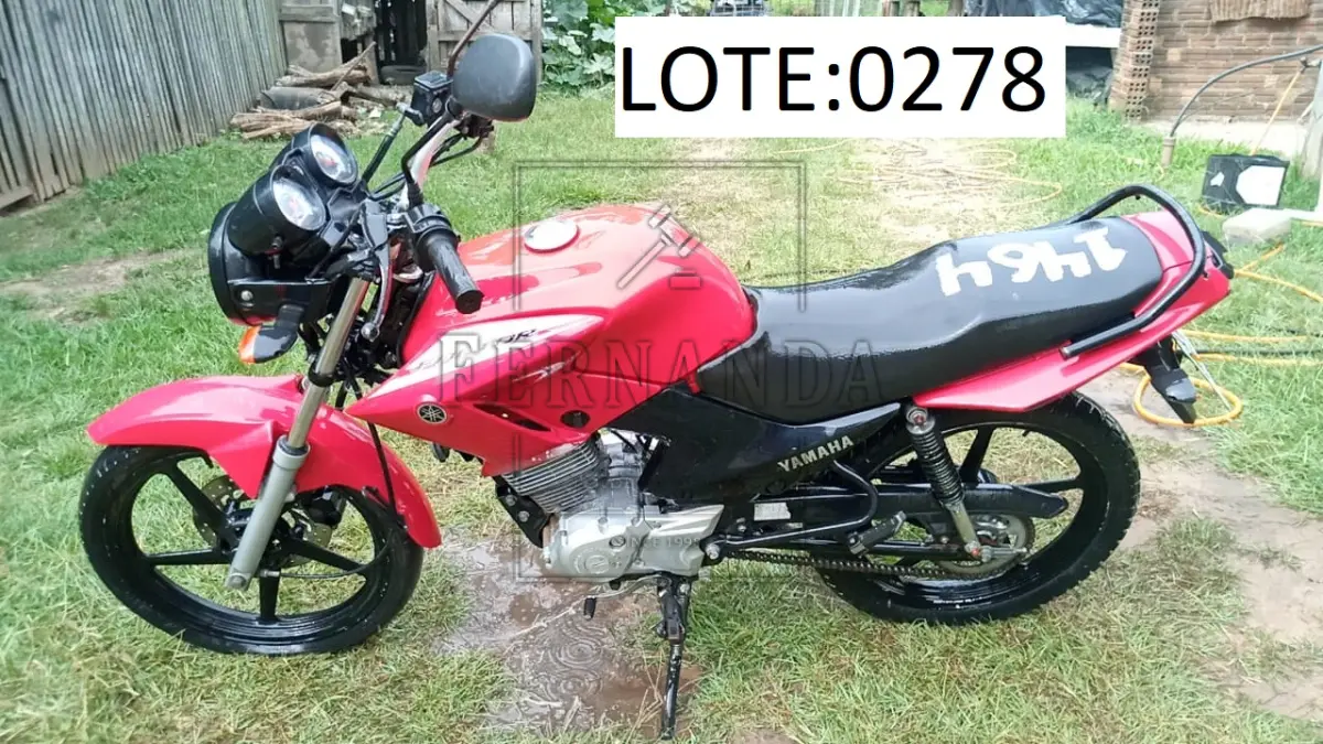 LOTE 0278