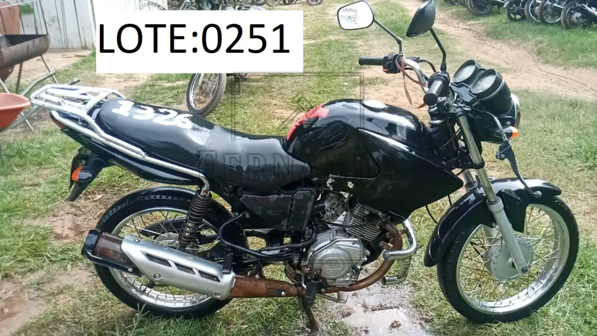 LOTE 0251