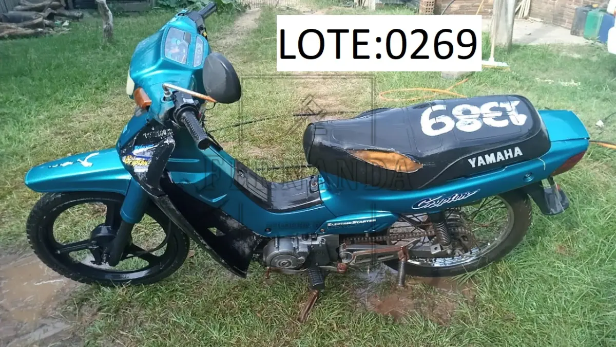 LOTE 0269