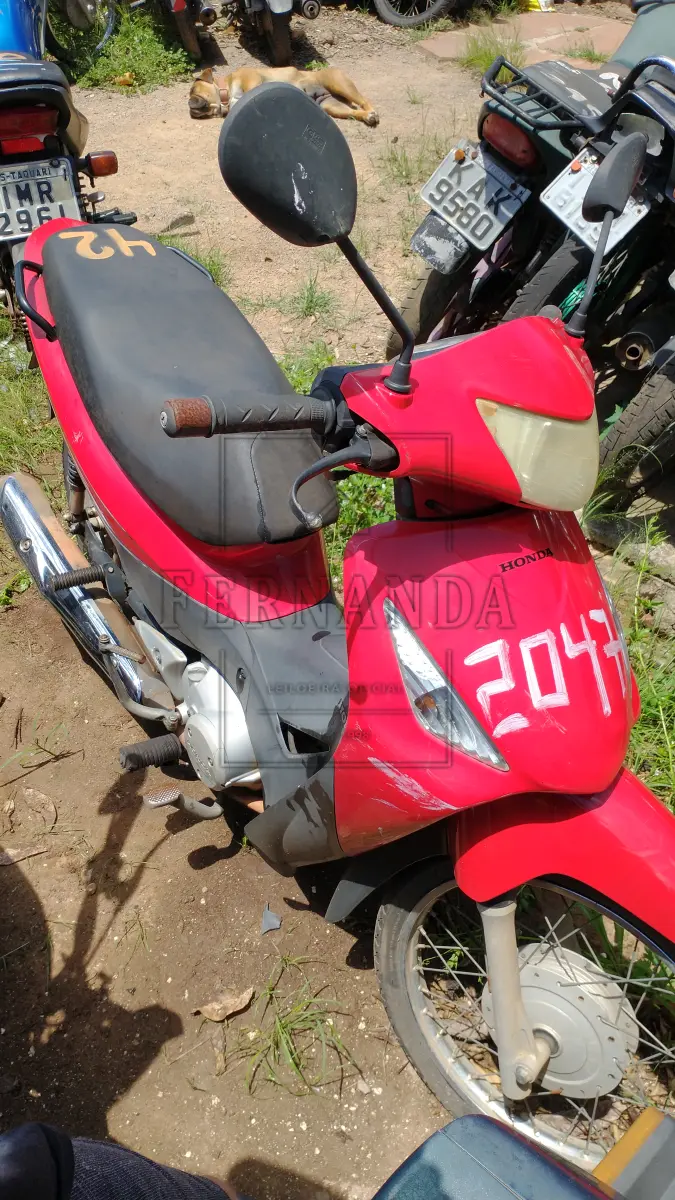 LOTE 0042