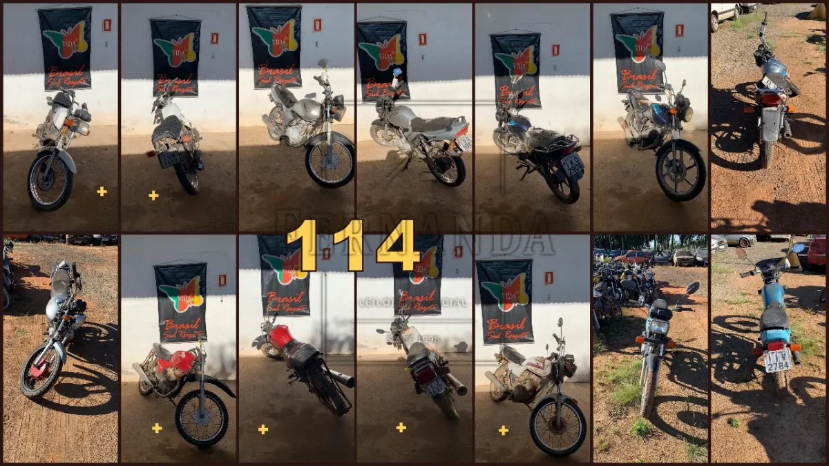 LOTE 0114