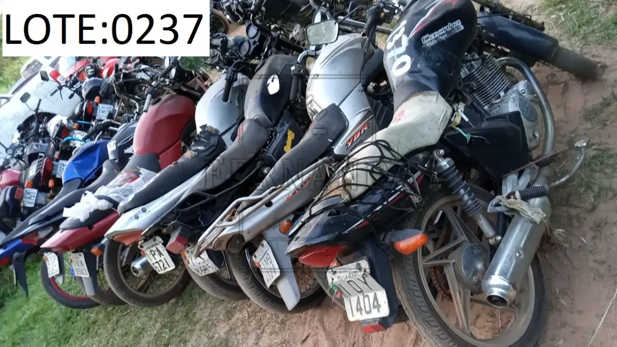 LOTE 0237