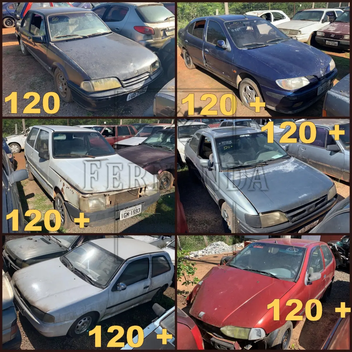 LOTE 0120