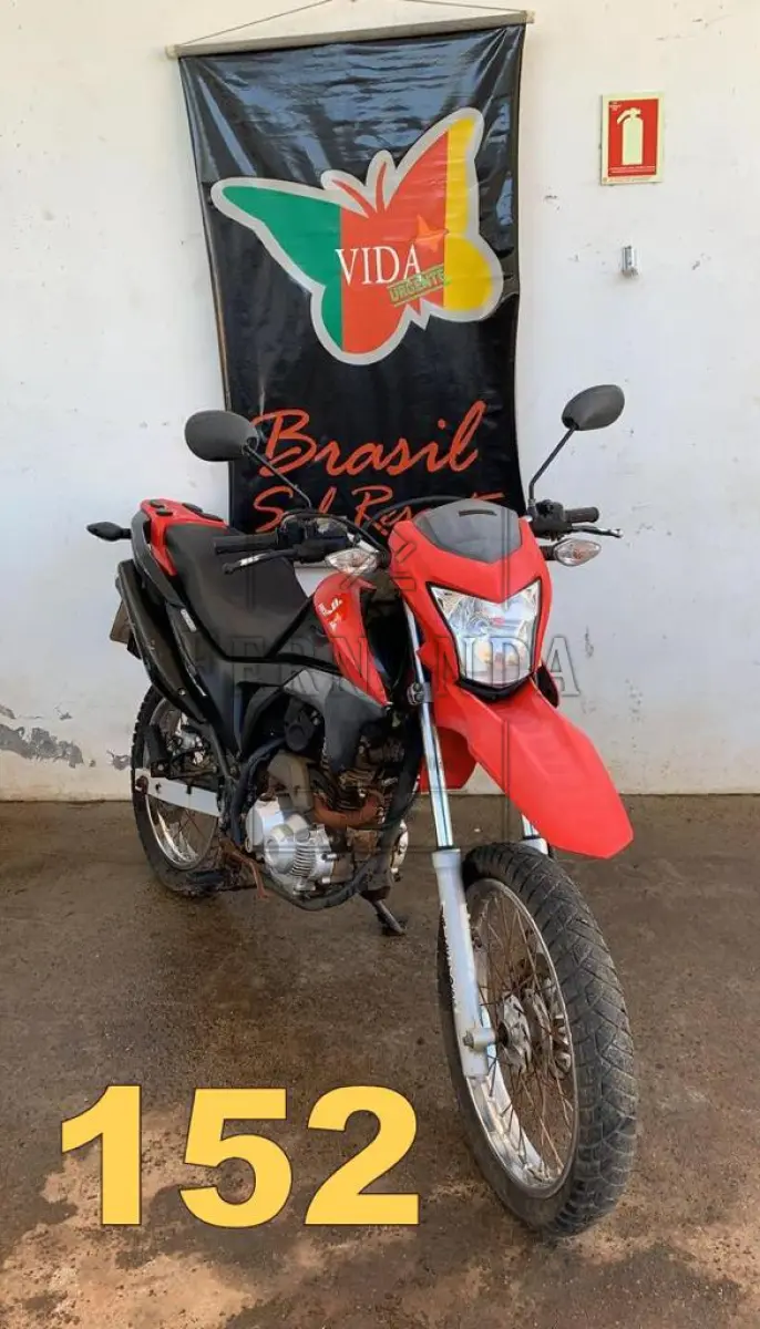 LOTE 0152