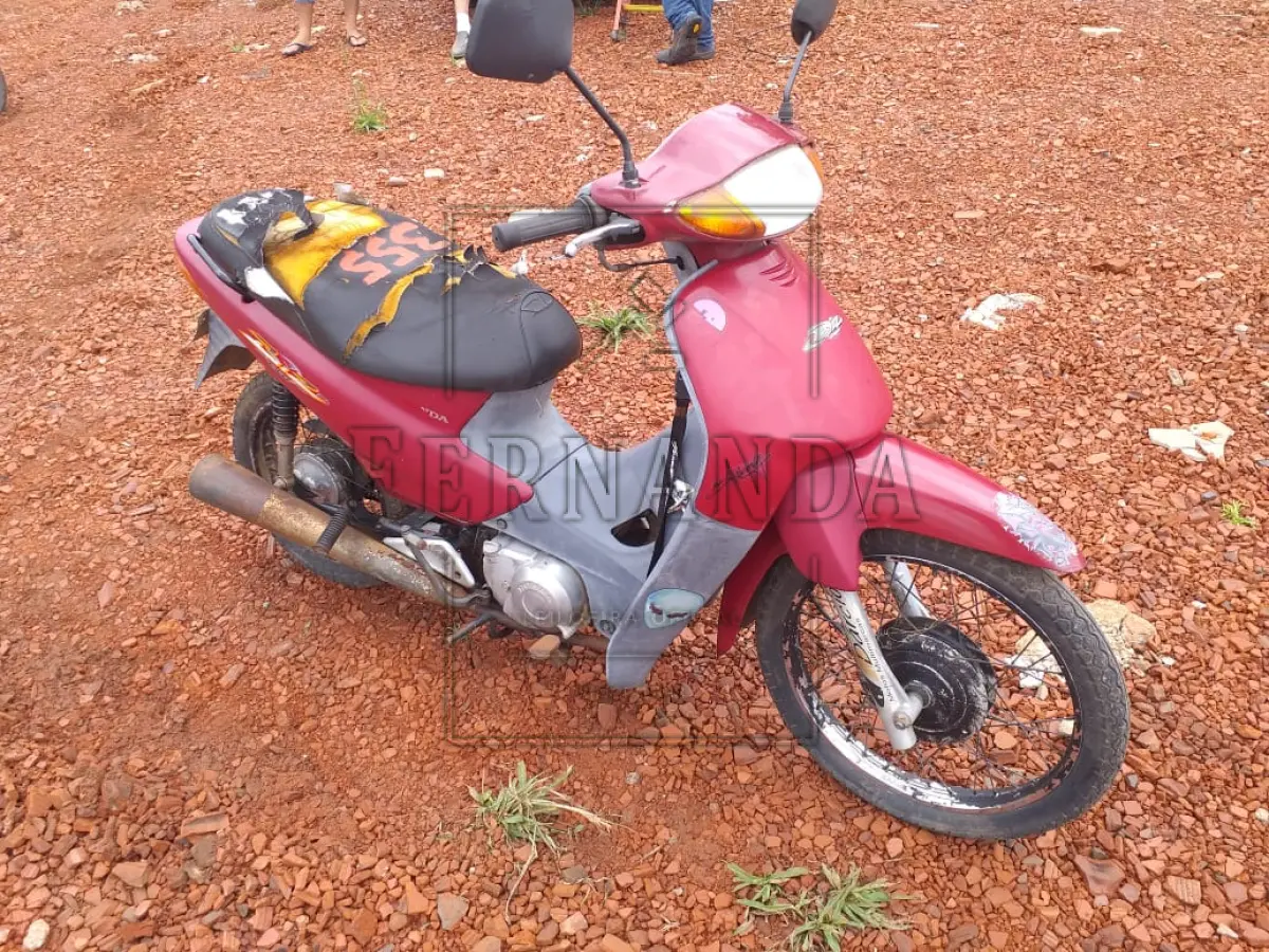LOTE 0355