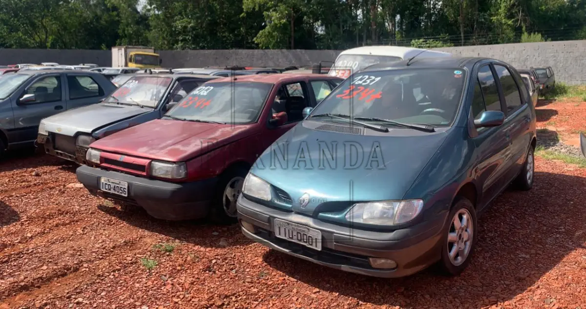 LOTE 0334