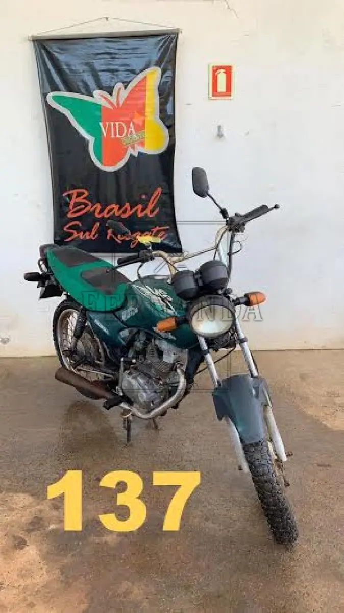 LOTE 0137