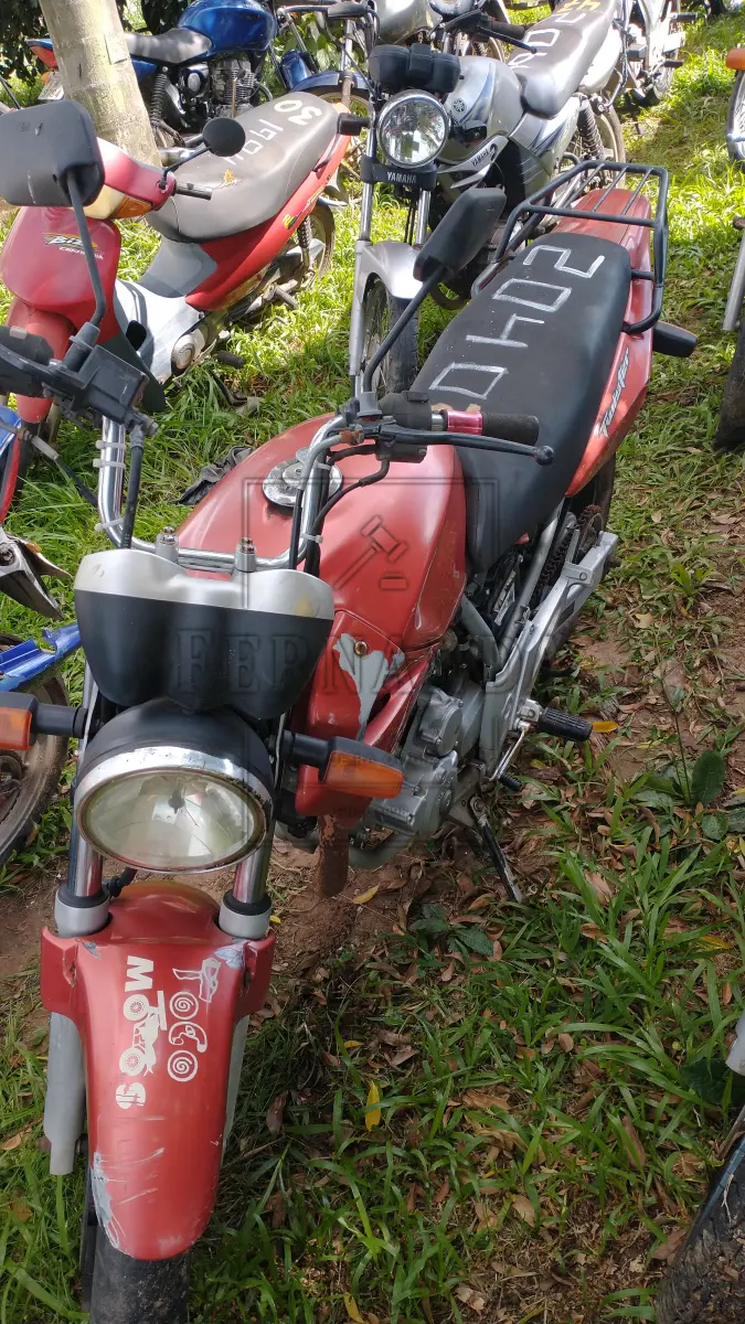 LOTE 0040