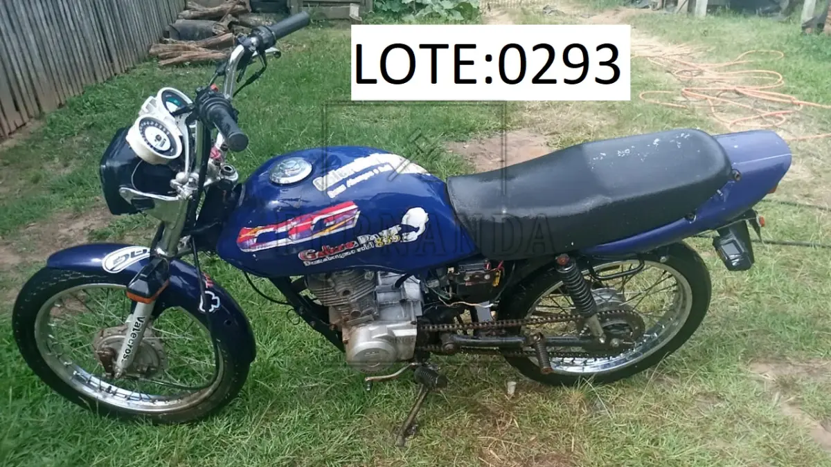 LOTE 0293