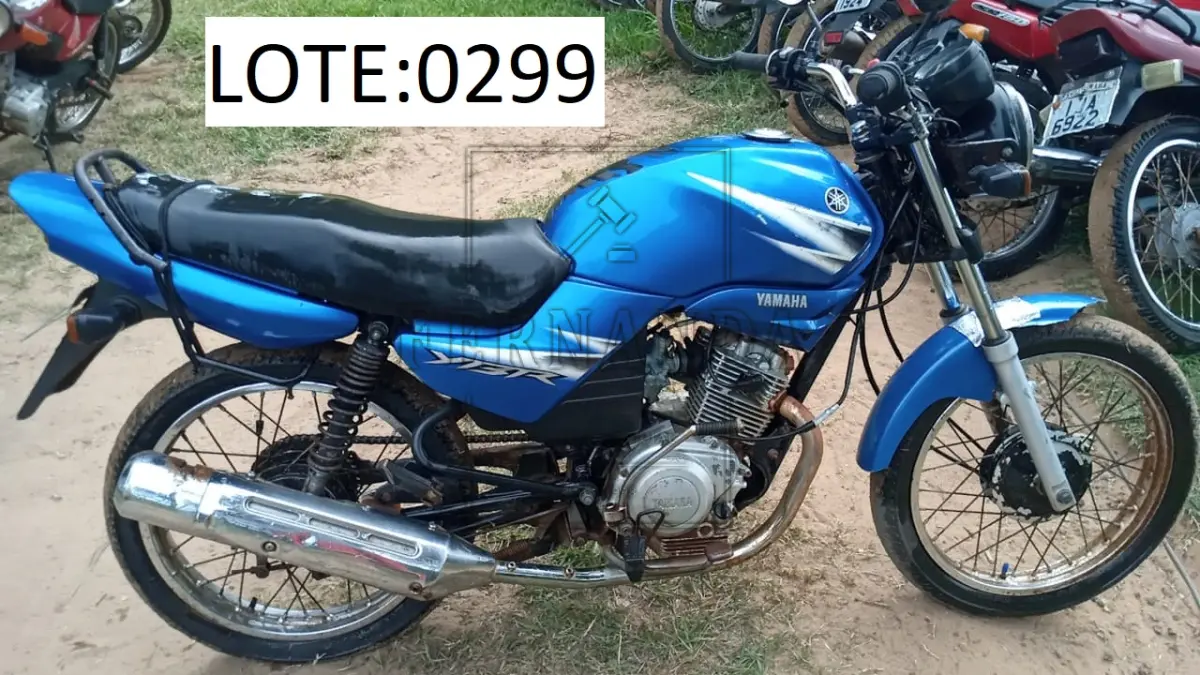 LOTE 0299