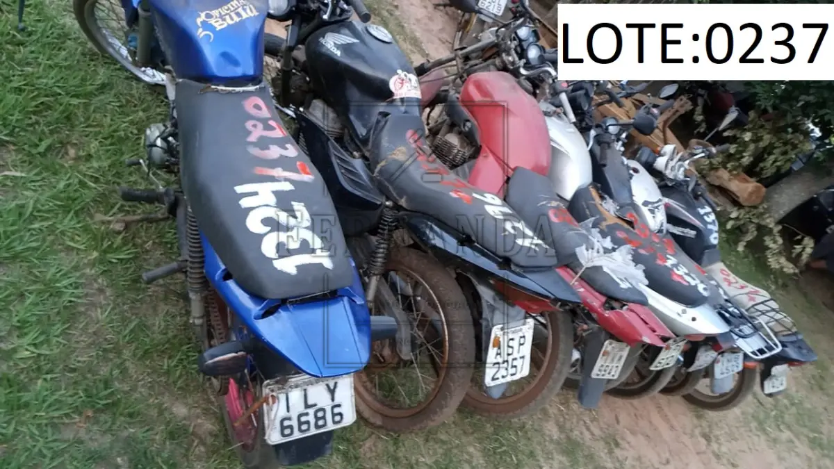 LOTE 0237