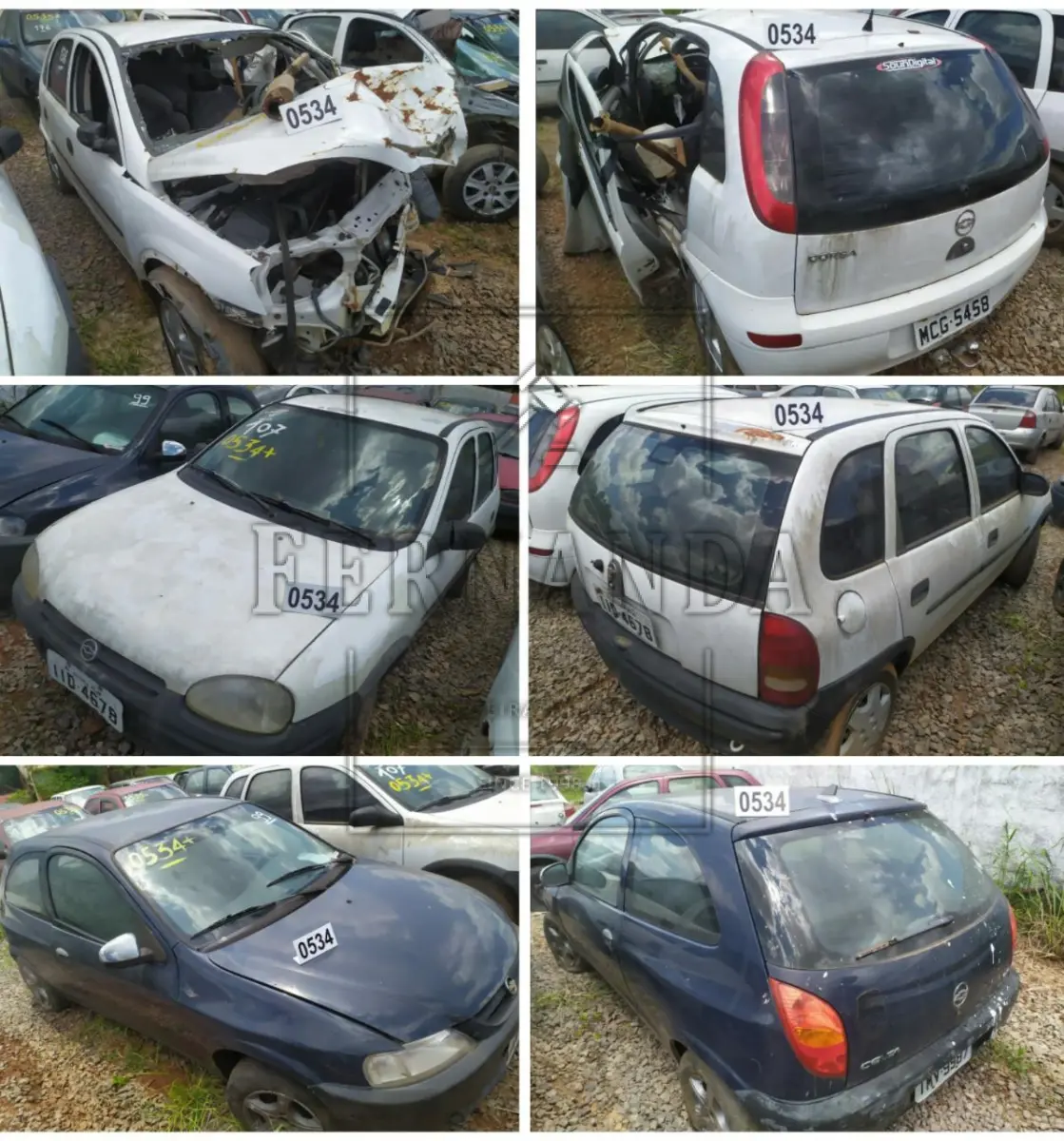 LOTE 0534