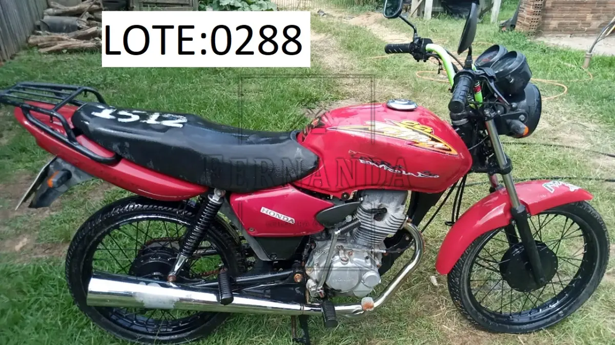 LOTE 0288