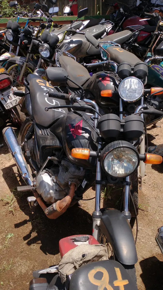 LOTE 0075