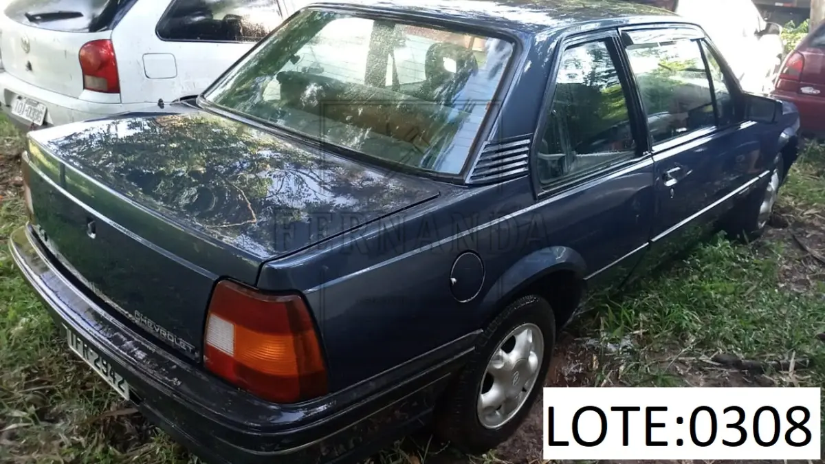 LOTE 0308