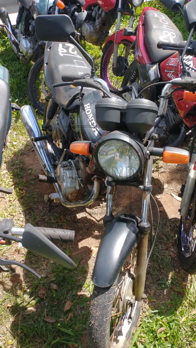LOTE 0029