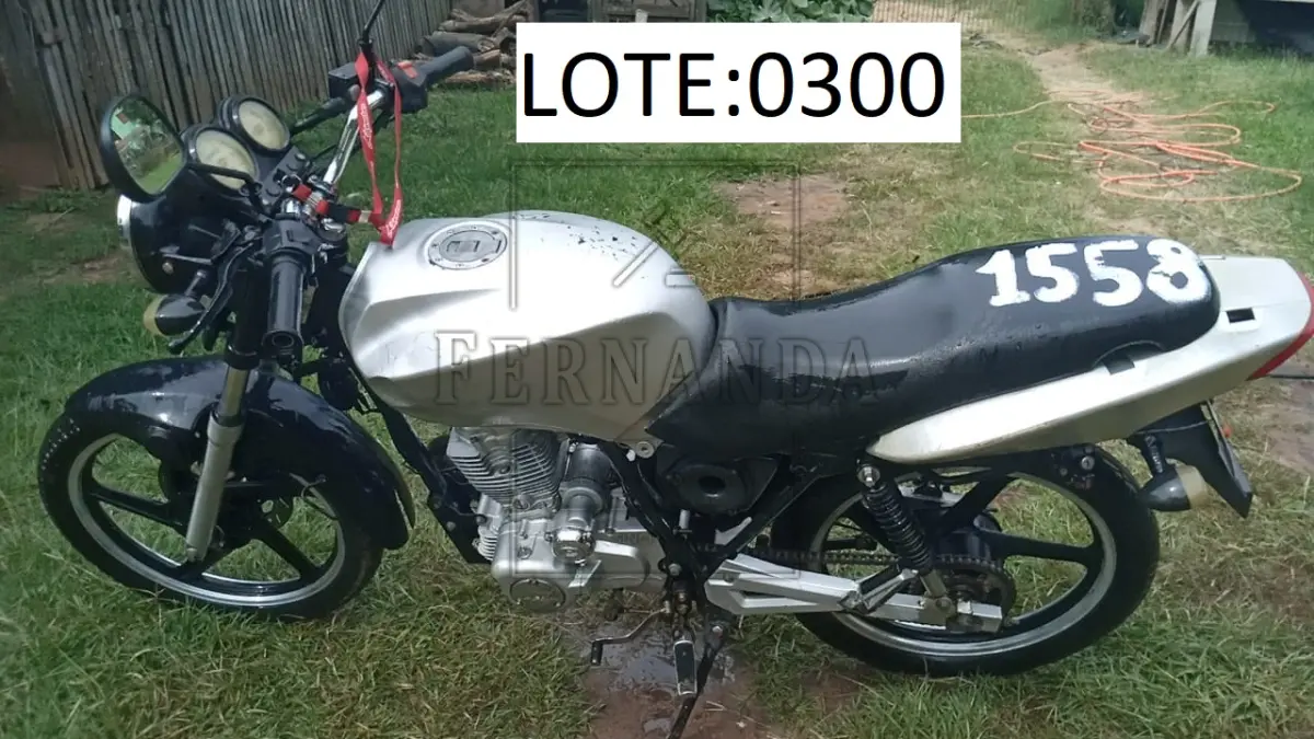 LOTE 0300