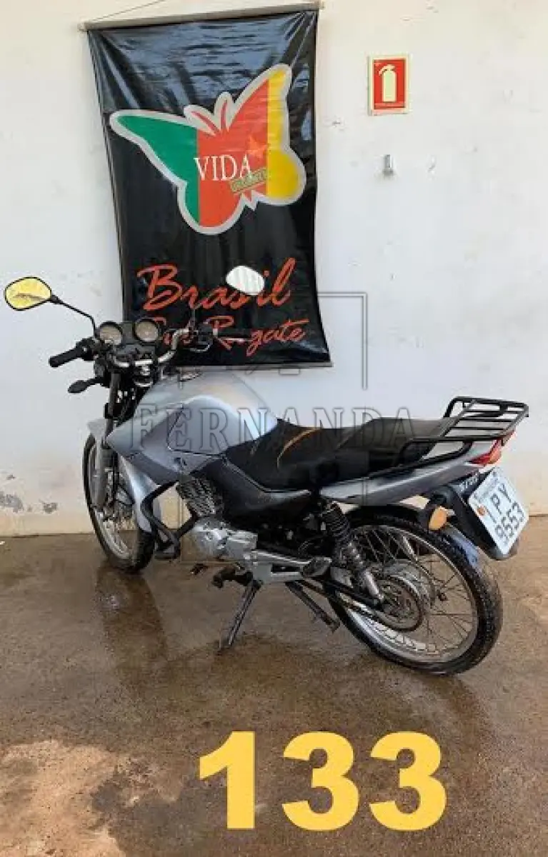 LOTE 0133
