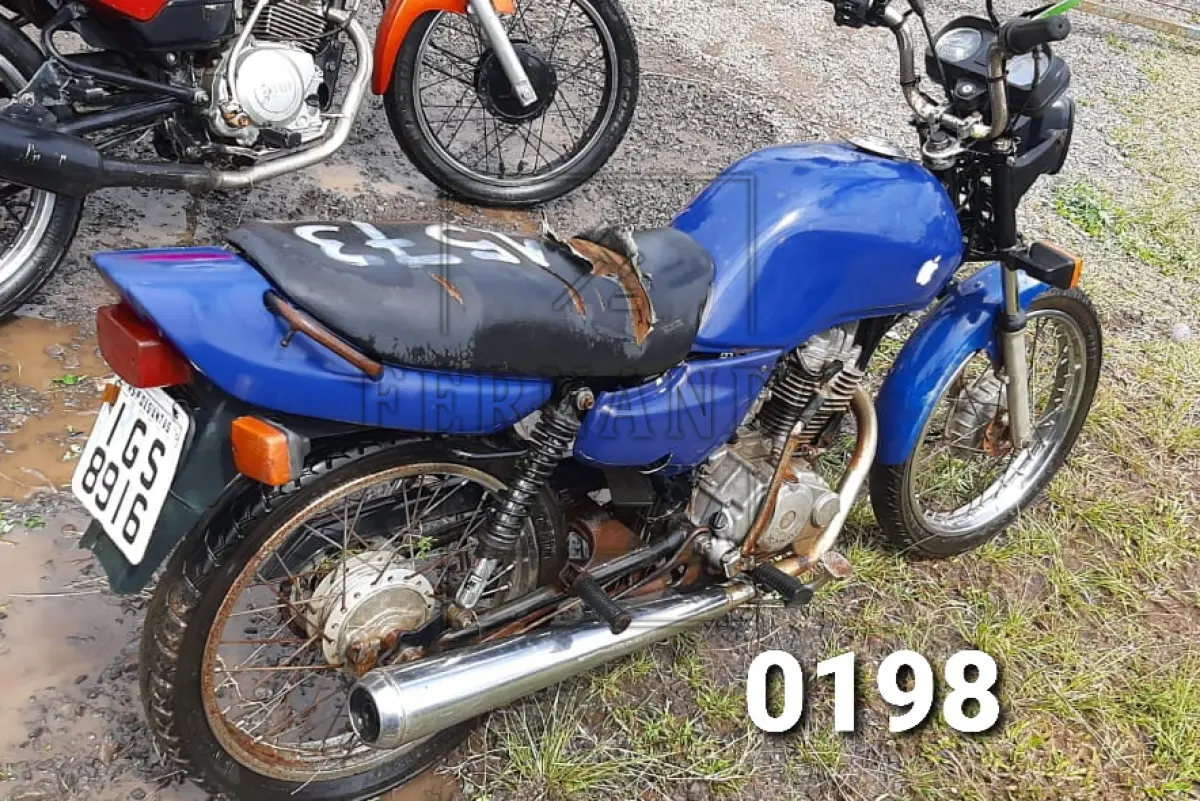 LOTE 0198