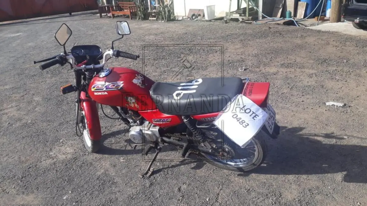LOTE 0483